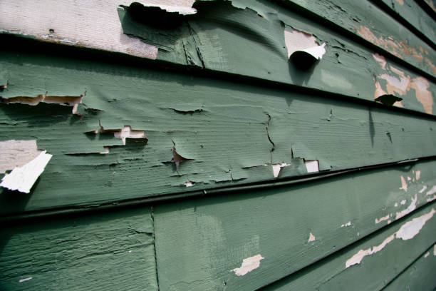 Best Construction Debris Removal  in Dana Point, CA